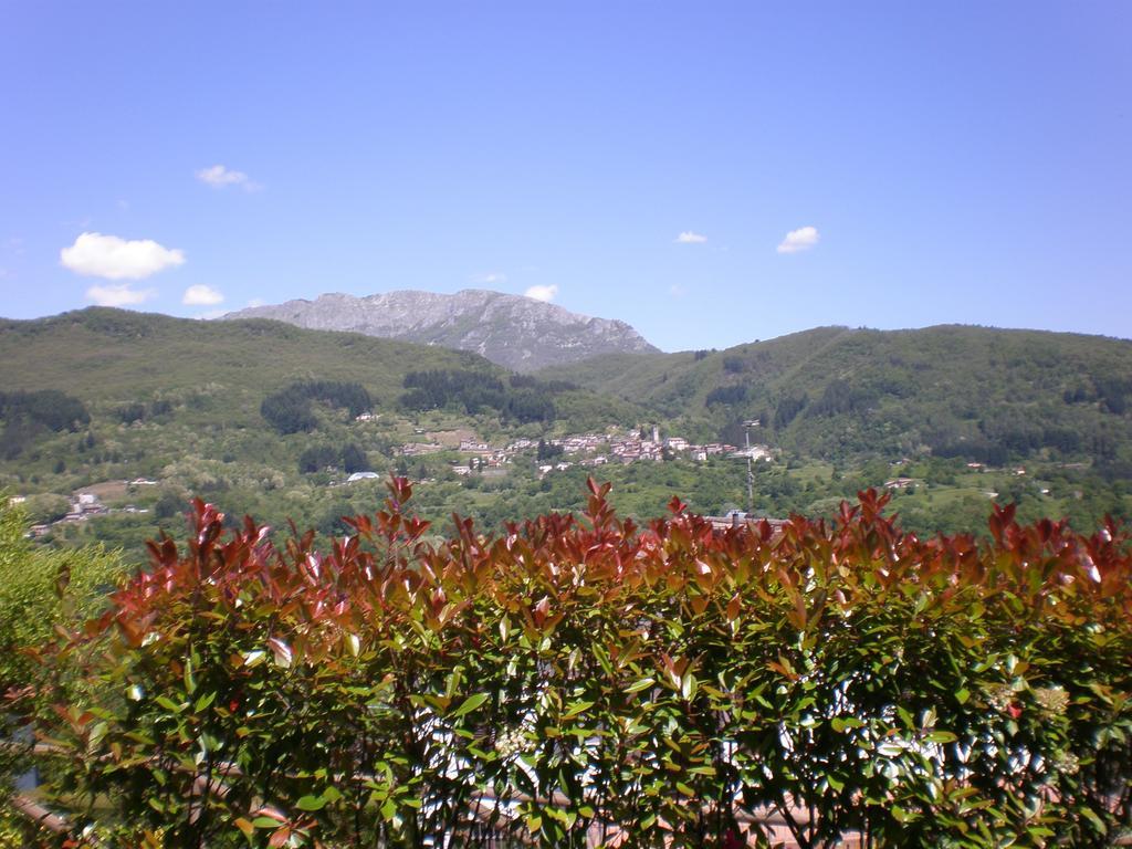 B&B Da Franca Camporgiano Exterior photo